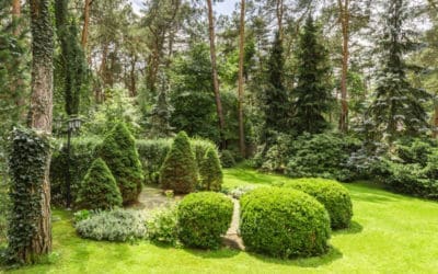 Tips for Landscaping Odd or Irregularly Shaped Yards